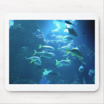 Tropical Fish Use Pad