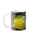 tropical fish mug mugs