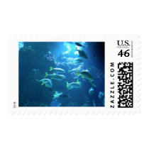 Tropical Fish Postage