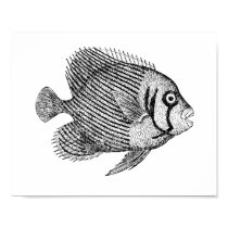 Tropical Fish Print posters