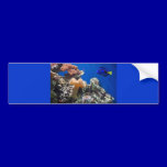 TROPICAL FISH SEALIFE CORAL DIGITAL REALISM OCEAN bumper stickers