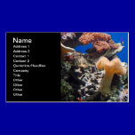 TROPICAL FISH SEALIFE CORAL DIGITAL REALISM OCEAN business cards