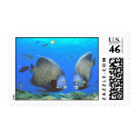 Tropical Fish Stamps