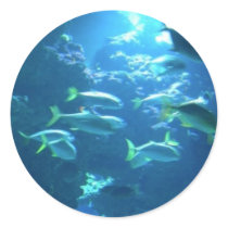 Tropical Fish Stickers
