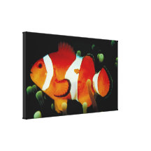Tropical fish stretched canvas prints