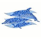 ladies_casual_ringer_tshirt - 12 species of tropical fish and 3 dolphins…: Sizes  Available colors: whitebabyblue