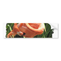 Tropical Flamingo Bumper Sticker