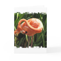 Tropical Flamingo Greeting Card