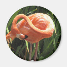 Tropical Flamingo Magnet