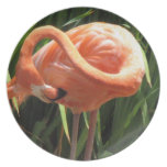 Tropical Flamingo Plate