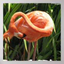 Tropical Flamingo Print