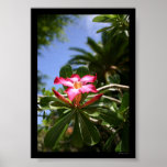 Tropical Flora Posters