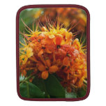 Tropical Flower Ashoka iPad Sleeve