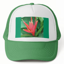 Tropical Flower Bird of Paradise Hat by Fivestar12 Tropical Flower Bird of Paradise Hat