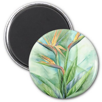 Tropical Birds Paradise on Tropical Flower Bird Of Paradise Painting   Multi Refrigerator Magnets