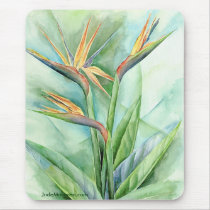 Tropical Flower Bird Of Paradise Painting - Multi Mouse Pad