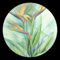 Tropical Flower Bird Of Paradise Painting - Multi stickers