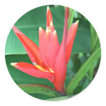 Tropical Flower Bird of Paradise stickers by Fivestar12 Tropical Flower Bird of Paradise stickers