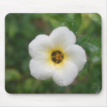 Tropical Flower Cayman Islands White mousepads by Poohkie13 Tropical Flower Cayman Islands White mousepads
