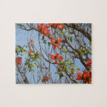 Tropical flower fiesta- flamboyan jigsaw puzzle