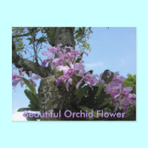 Tropical flower postcards