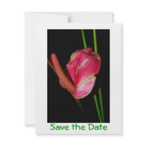 Tropical Flower Save the Date invitations