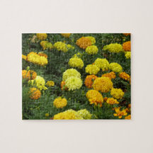 Tropical Flowers Fiesta - 22 - Claveles Puzzles