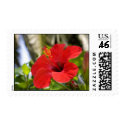 tropical flowers(Hibiscus) postage by ValeryKraynov tropical flowers(Hibiscus) postage