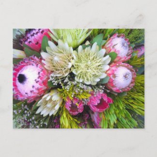 Tropical flowers postcard