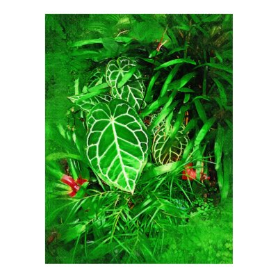 Tropical Foliage - Afternoon in the Greenhouse Posters by palmimages