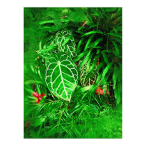 Tropical Foliage - Afternoon in the Greenhouse posters