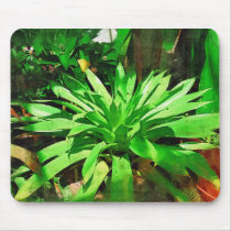 tropical foliage collection , fairchild tropical g mousepads