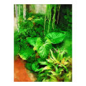 tropical foliage collection , fairchild tropical g posters