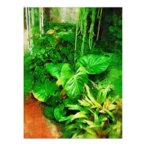 tropical foliage collection , fairchild tropical g posters