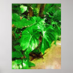 tropical foliage, fairchild tropical gardens, miam poster