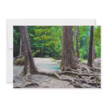 Tropical Forest Invite