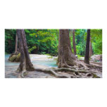 Tropical Forest Custom Photo Card