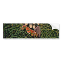 Tropical Forest Struggle: Tiger & Bull (1909) bumper stickers