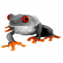Tropical Frog Ornament..! photo sculptures by CreationsOfMySpace Tropical Frog Ornament..! photo sculptures
