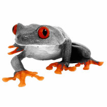 Tropical Frog Ornament..! photo sculptures
