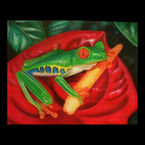 Tropical Frog posters