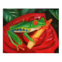 Tropical Frog posters by 2Austins1Heart Tropical Frog posters