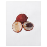 Tropical fruit - Lychee Flyers