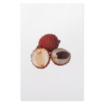 Tropical fruit - Lychee Stationery