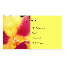 Tropical Fruit Punch Business Cards