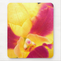 Tropical Fruit Punch mousepads