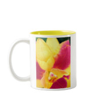 Tropical Fruit Punch mugs