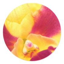 Tropical Fruit Punch stickers
