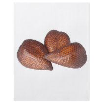 Tropical fruit - Salak fruit