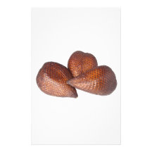 Tropical fruit - Salak fruit Stationery Paper